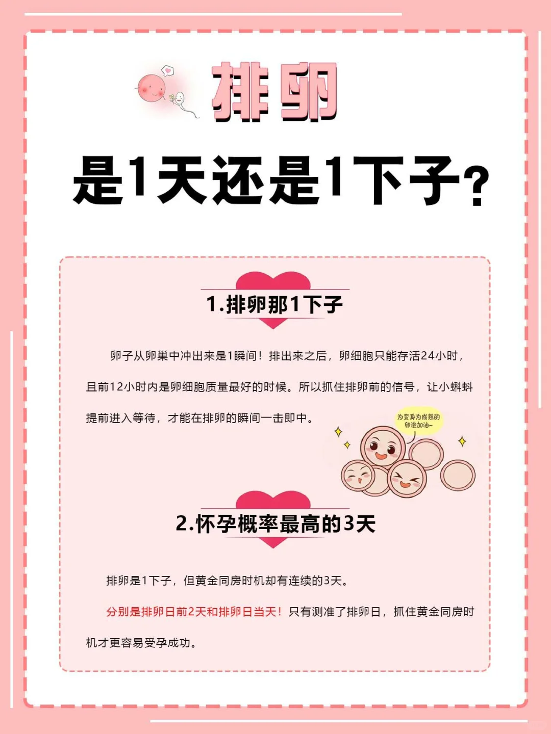 探索排卵瞬间：科学备孕与助孕策略解析