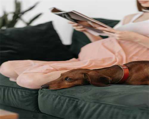福州总院试管技术解析：成功率与个性化服务体验
