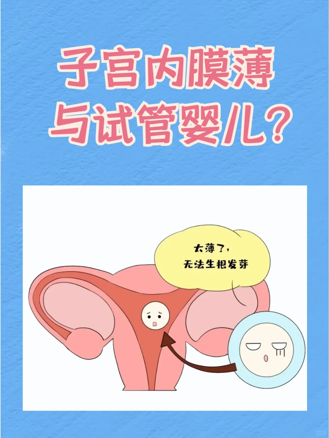 子宫内膜薄对试管婴儿成功率的影响及应对策略