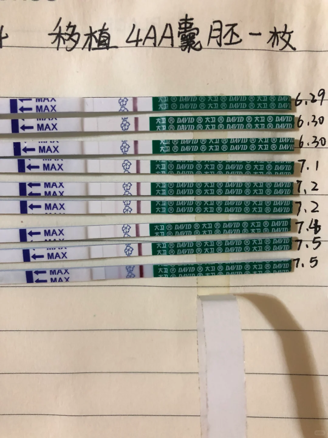 试管移植后生化妊娠经历分享与助孕支持探讨